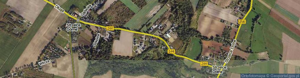 Zdjęcie satelitarne Gołębia ul.